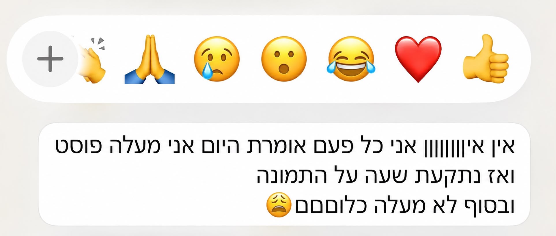הודעה אמיתית מבעלת עסק